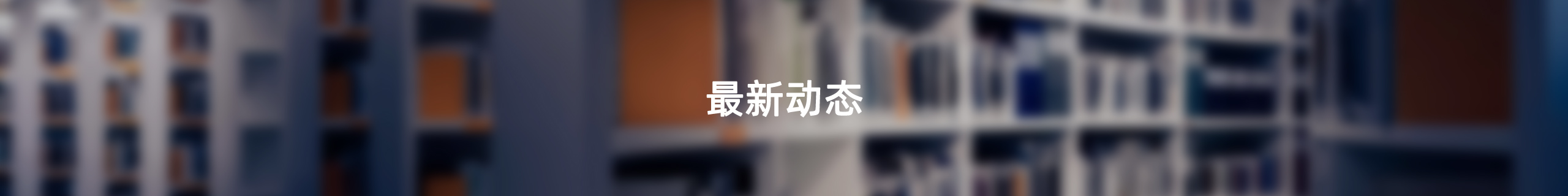最新动态